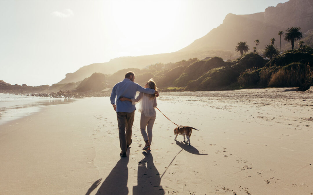Securing Your Future: The Power of Corporate Insured Retirement Plans